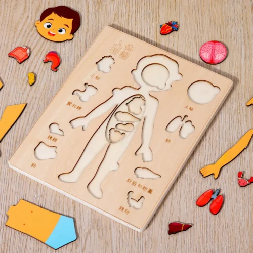 Human Body Wooden Puzzle – Mexten
